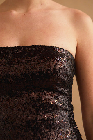 Everly Sequins Tube Dress