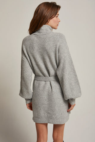 Audrina Turtleneck Belted Mini Sweater Dress