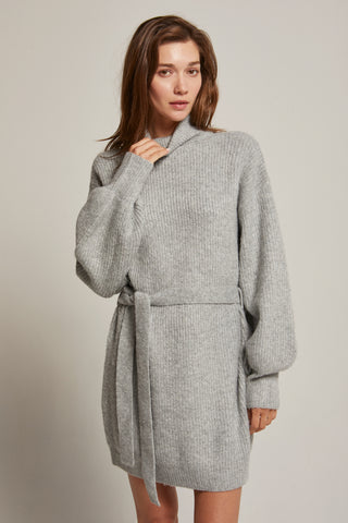 Audrina Turtleneck Belted Mini Sweater Dress