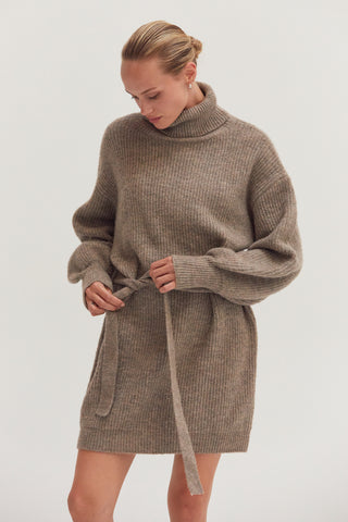 Audrina Turtleneck Belted Mini Sweater Dress