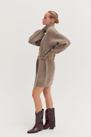 Audrina Turtleneck Belted Mini Sweater Dress