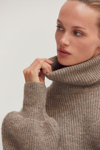 Audrina Turtleneck Belted Mini Sweater Dress