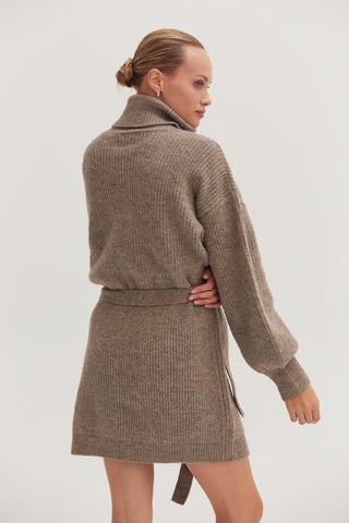 Audrina Turtleneck Belted Mini Sweater Dress
