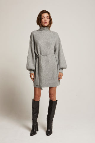 Audrina Turtleneck Belted Mini Sweater Dress