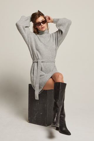 Audrina Turtleneck Belted Mini Sweater Dress