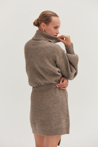 Audrina Turtleneck Belted Mini Sweater Dress