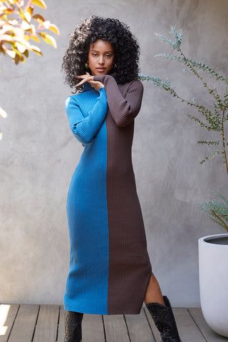 A model wearing a blue/brown color block turtle neck midi sweater dress.