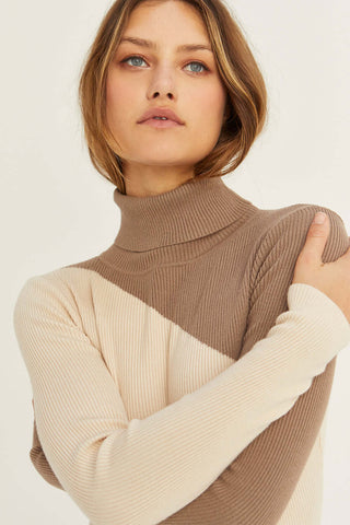model wearing a color block turtleneck